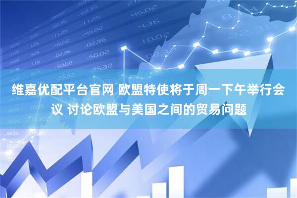 维嘉优配平台官网 欧盟特使将于周一下午举行会议 讨论欧盟与美国之间的贸易问题