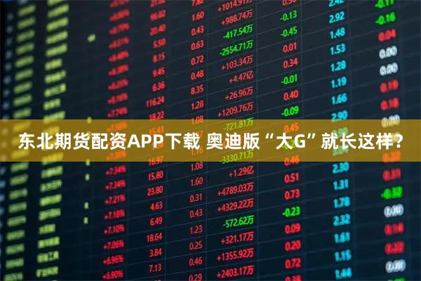 东北期货配资APP下载 奥迪版“大G”就长这样？